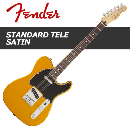 Fender Standard Telecaster Satin / 펜더 텔레캐스터 일렉기타 / 멕시코생산
