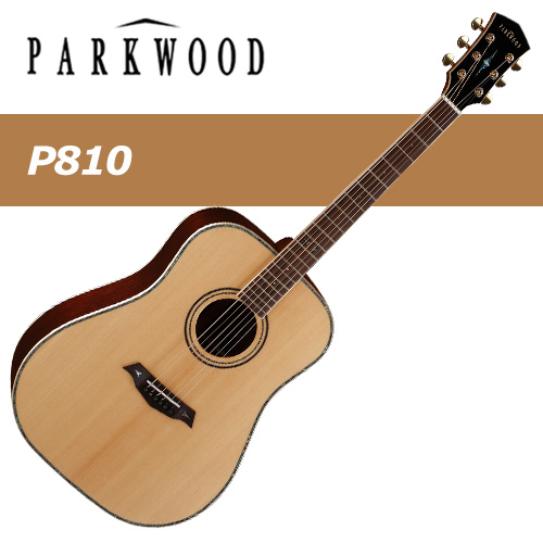 파크우드 P810 / Parkwood P810 / 드레드넛 / 올솔리드 통기타